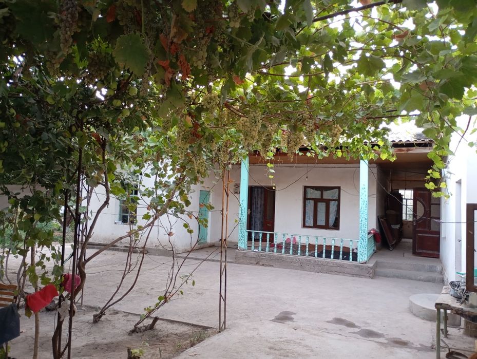 40 сотикли 2 уй сотилади газ свет ичимлики су  бор екин жой 20 сотик