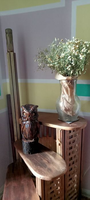 Дизайн полка стремянка