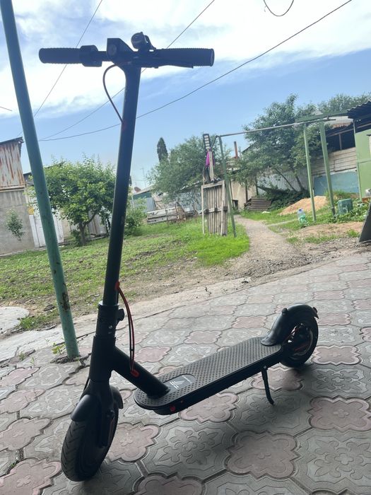 Сомакат новый бугын алынган