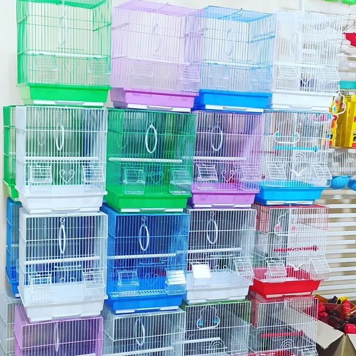 Попугай волнистые большой выбор