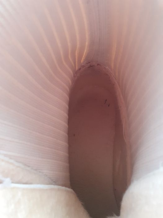 Ghete piele naturală