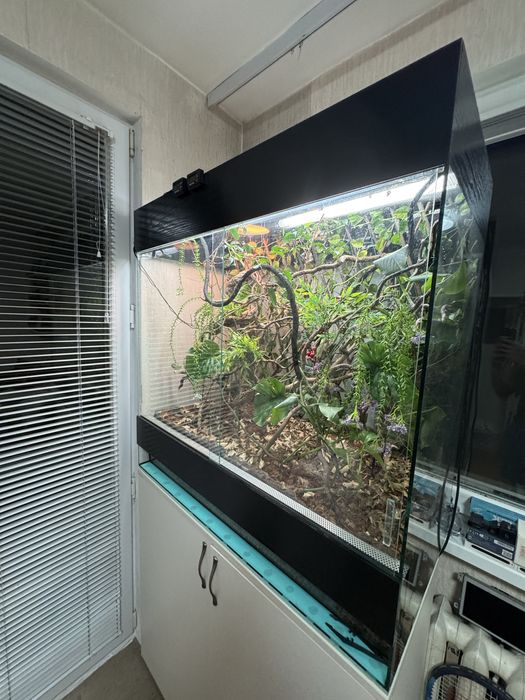 Терариум за влечуги 100х100х50