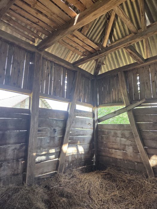 Lemn stejar vechi grinzi corni rustic