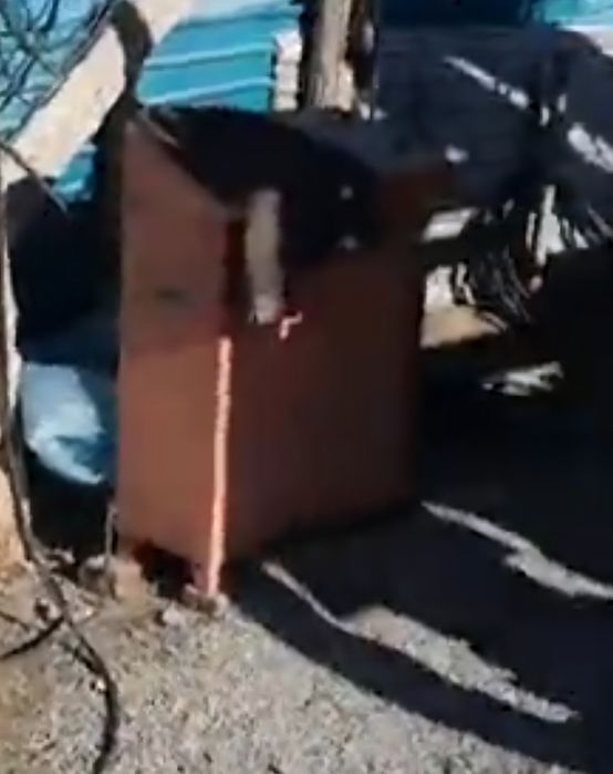 пескаблок станогы