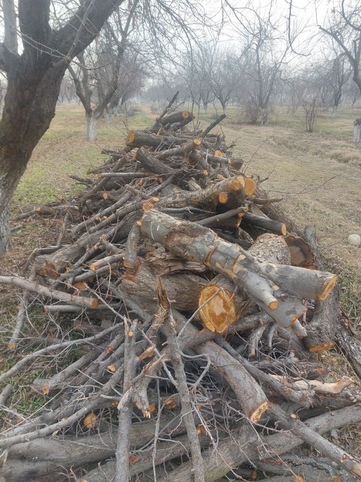 Otin sotiladi fargona