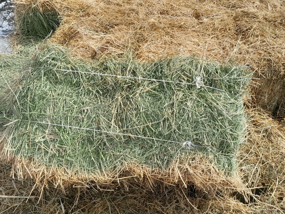 Продам тюки люцерну.