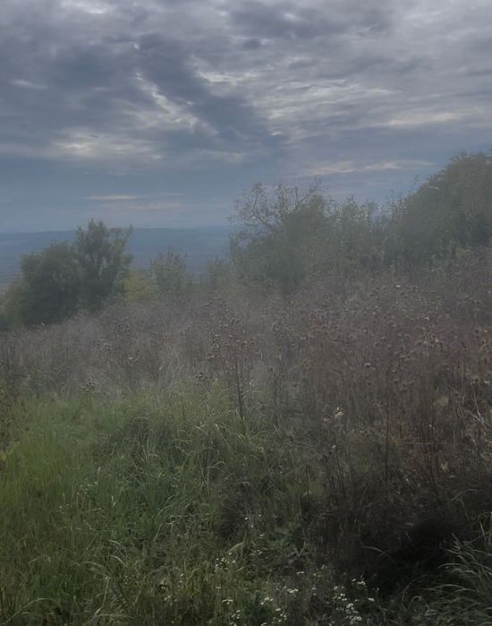 Teren cu cabana sarmasag