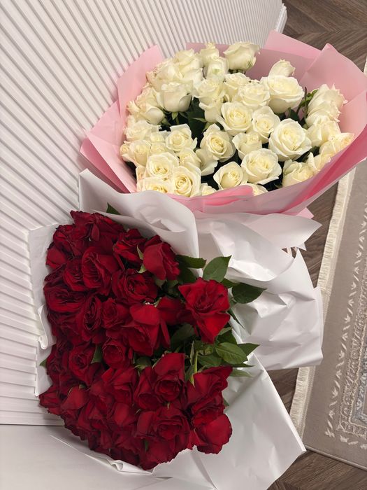 Цветы Роза, свежие белые и красные