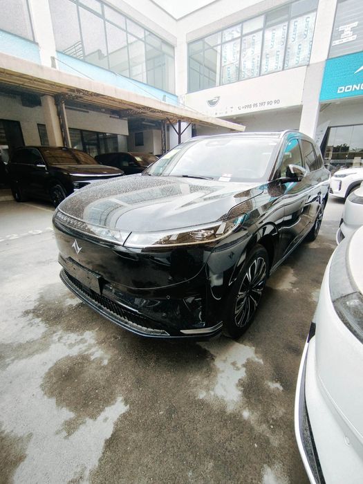 DongFeng 008+2026