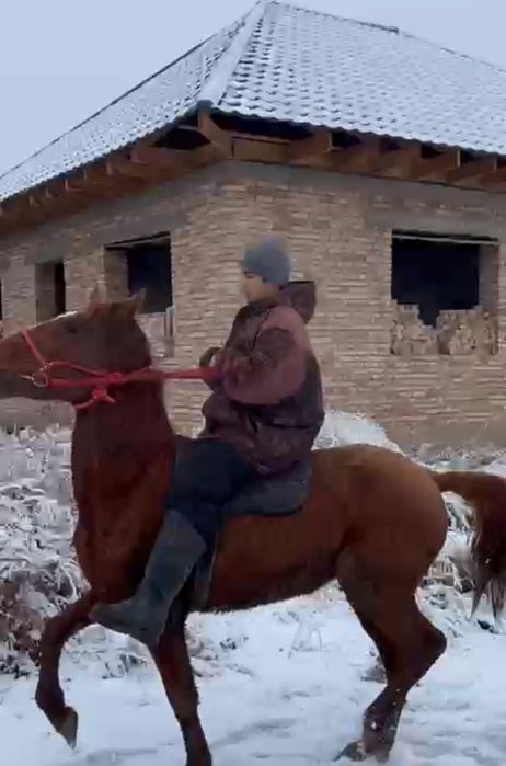 Кунан сатылады срочна