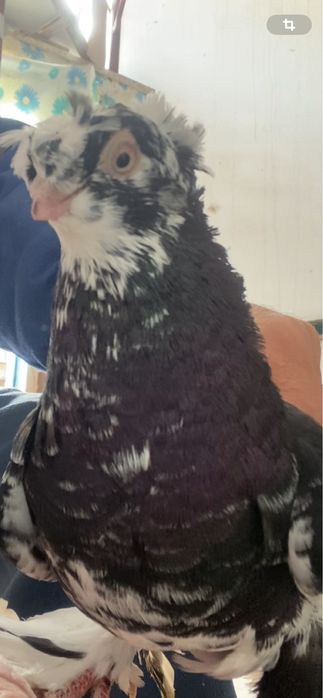 Молодеж летно игровых глубей!