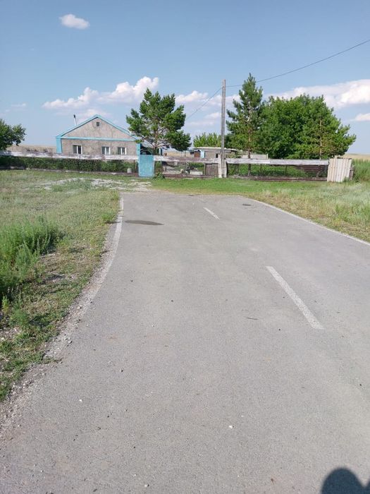 Продается дом. С урожаем
