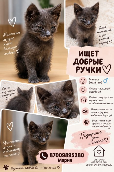 Ищем семью мальчику с подвала