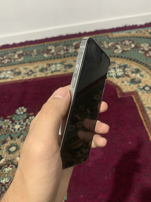 iphone 12 pro