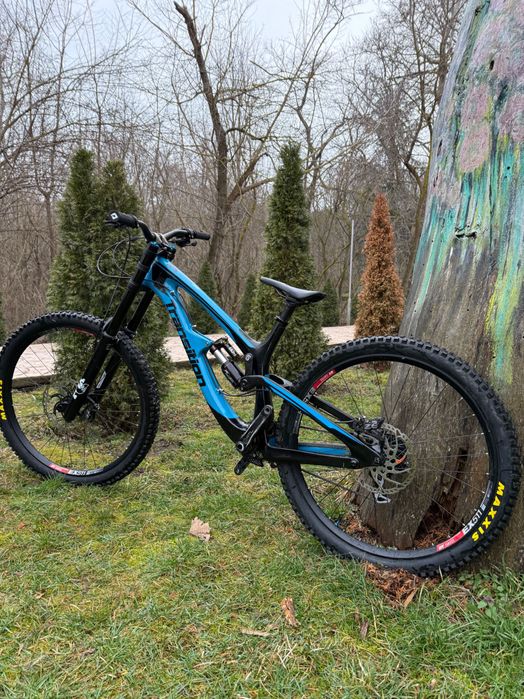 Transition Tr11 L (mullet)