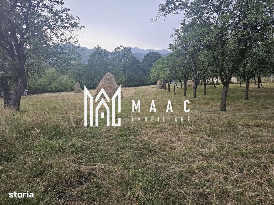 Casă 1 cameră de vânzare | Rădăcinești, Vâlcea | 5500 mp teren