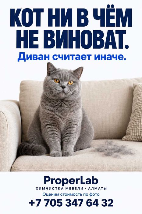 Химчистка Дивана