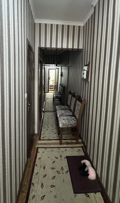 Chilonzor 7 kvartal Oqtepa krug Mebelniy arientir
