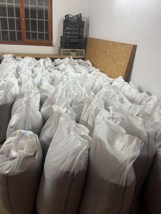 Seminte de floarea soarelui