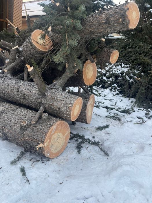 Продаем елку самовызов или яндекс