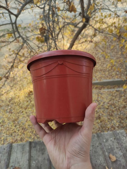 горшки для цветов и растений