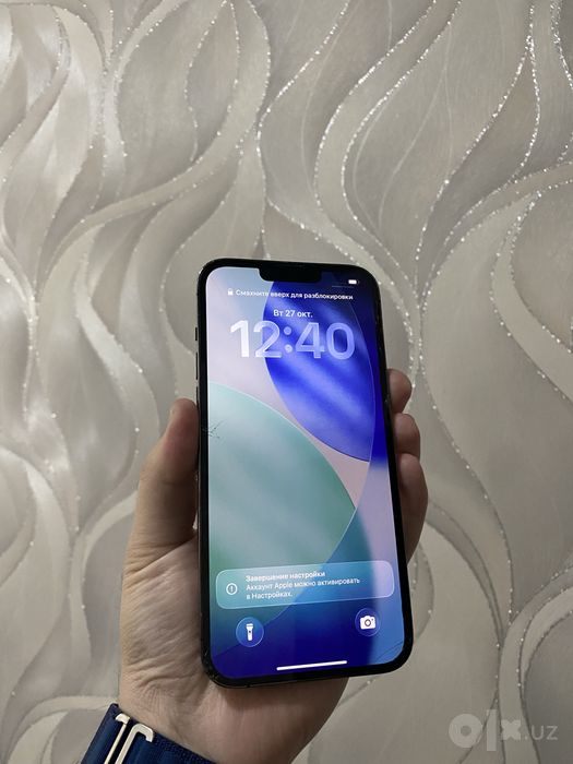 iPhone 13 pro max