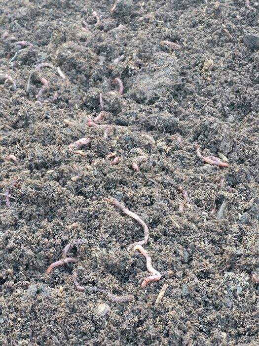 Все для огорода и сада,рыбалки