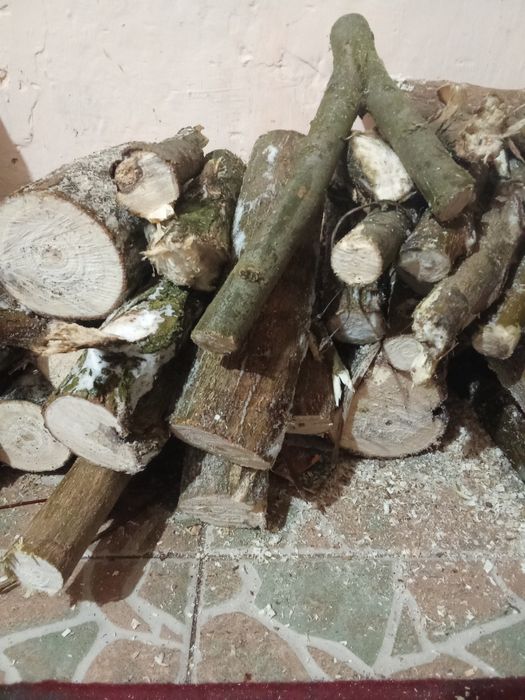 Lemne de diverse tipuri