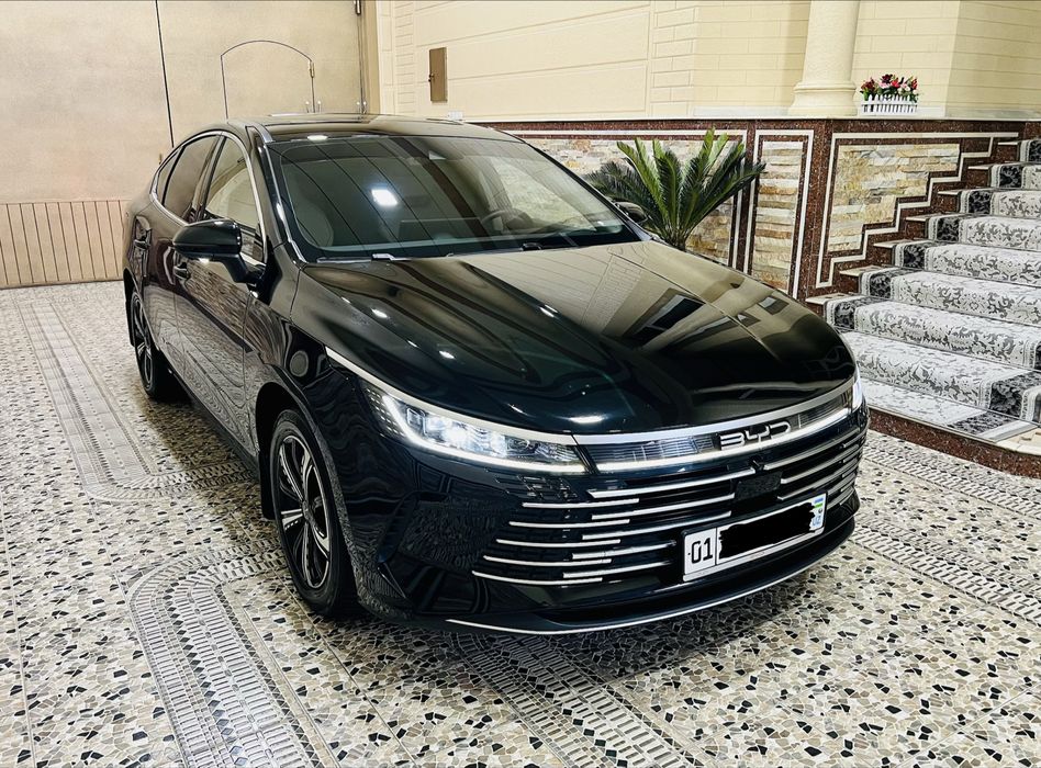 BYD Chazor Dm-i  120 tali eng Full pozitisa