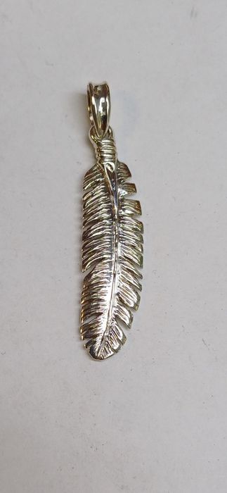 Сребърно авторско перо.