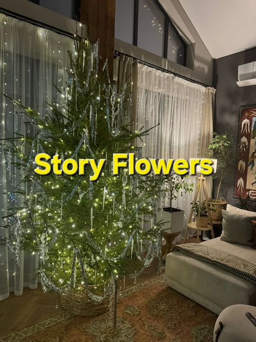 Живые срезанные Ёлки. Ель. Ёлка на новый год.