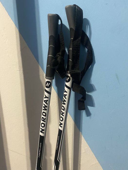 Лыжи беговые 20 000