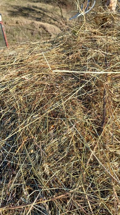 Vând 220 de baloți de fân