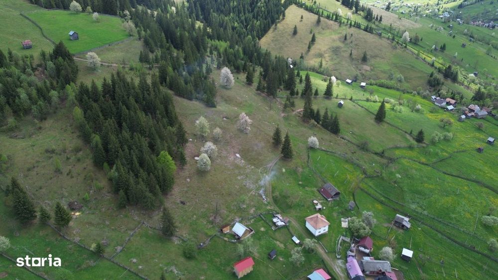 Teren 1.29 ha + 1 ha pădure, acces ușor
