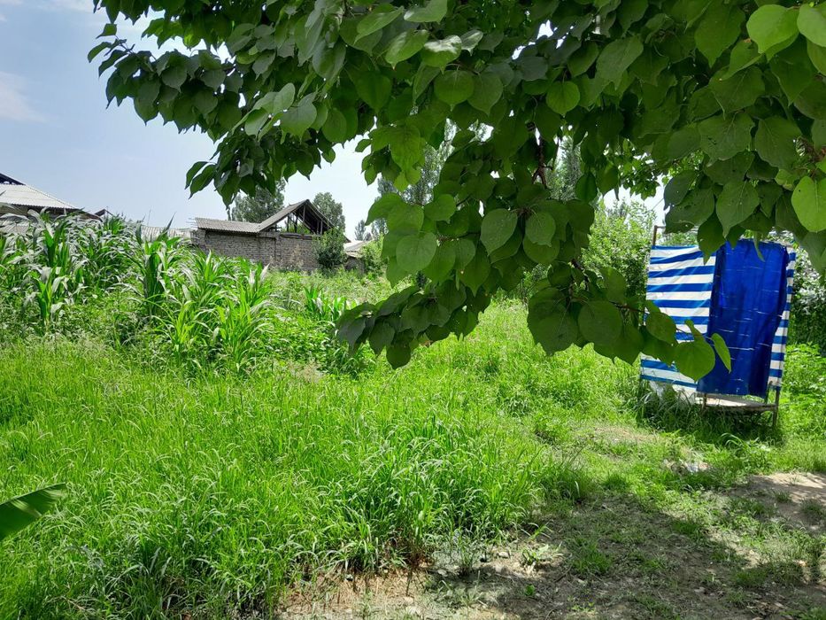 16 сутихли уй сотилади