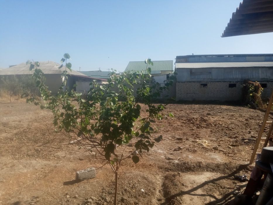 yer sootiladi yer maydo i 8 sotik 15000 minda sotigiga soravomiz