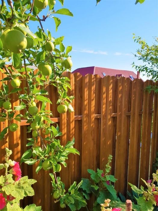 Garduri si porti diferite modele