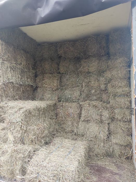 Baloți fân verde și mărunt