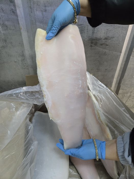 Балык, рыба ,филе, форель Норвегия