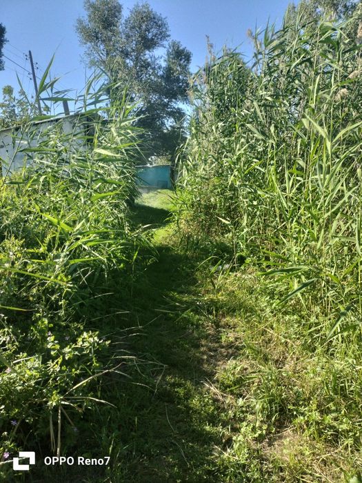 Срочно продам дом