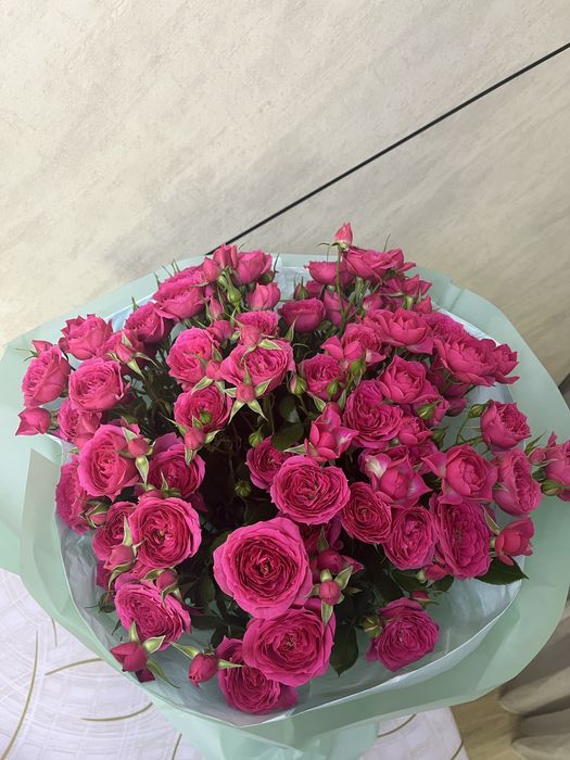 Цветы, свежие, очень красивые