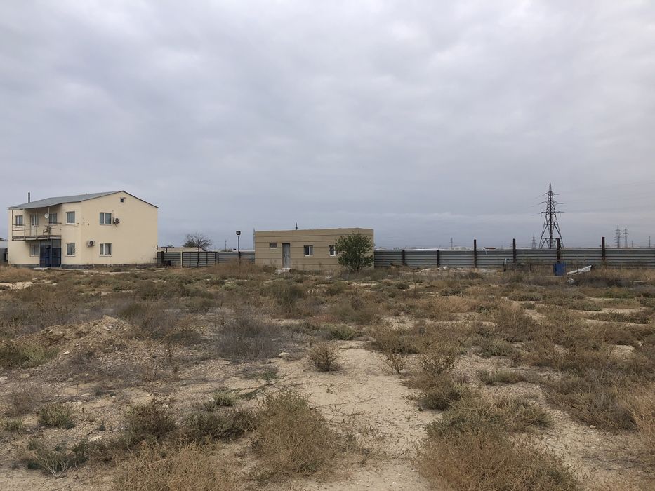 Шөп шауып алып кету керек