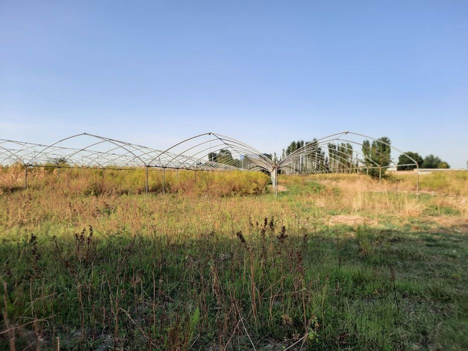 Yuqori chirchiq tumanida 200 sotok yer sotiladi