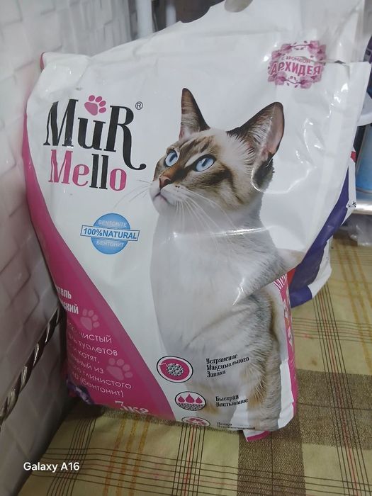 Mushuk sotiladi 1 million barcha narsasi bilan