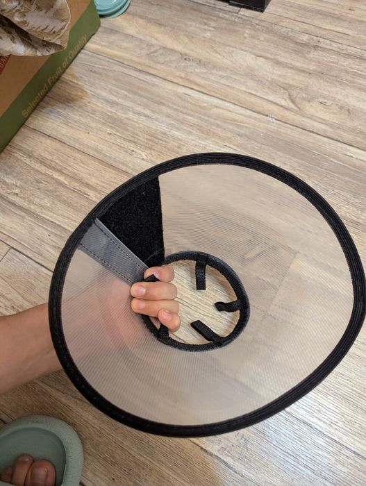 Воротник для животных