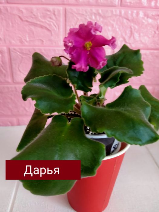 Красивые,разноцветные подоконники!!!