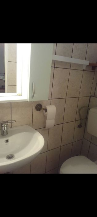 Proprietar inchiriez aprtament la curte Timișoara, Brancoveanu