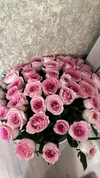 Гул 51штук он мнга