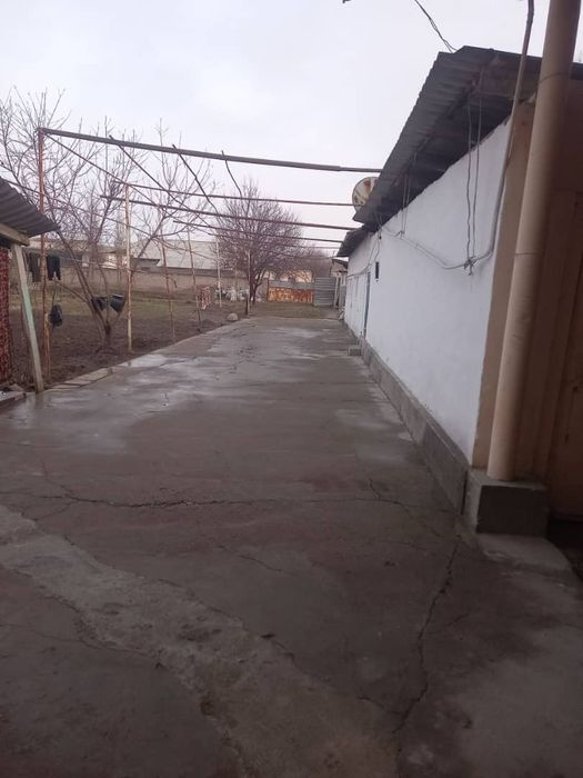 Kelishladigan joyi bor kelshamiz