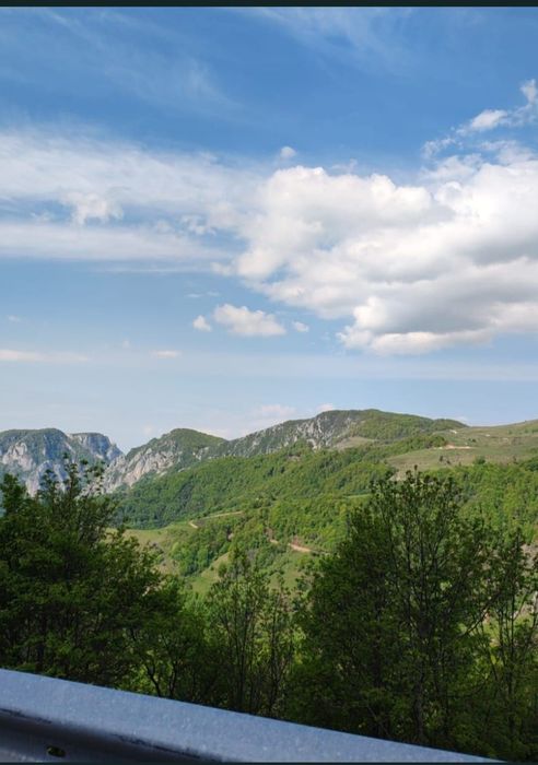 Teren Intravilan de Vânzare – 928 mp | Valea Inzelului, Râmeț, Alba